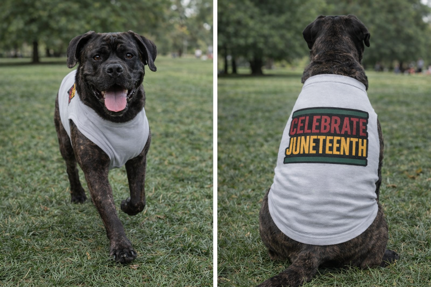Celebrate Juneteenth Dog Shirt | Pawsy People