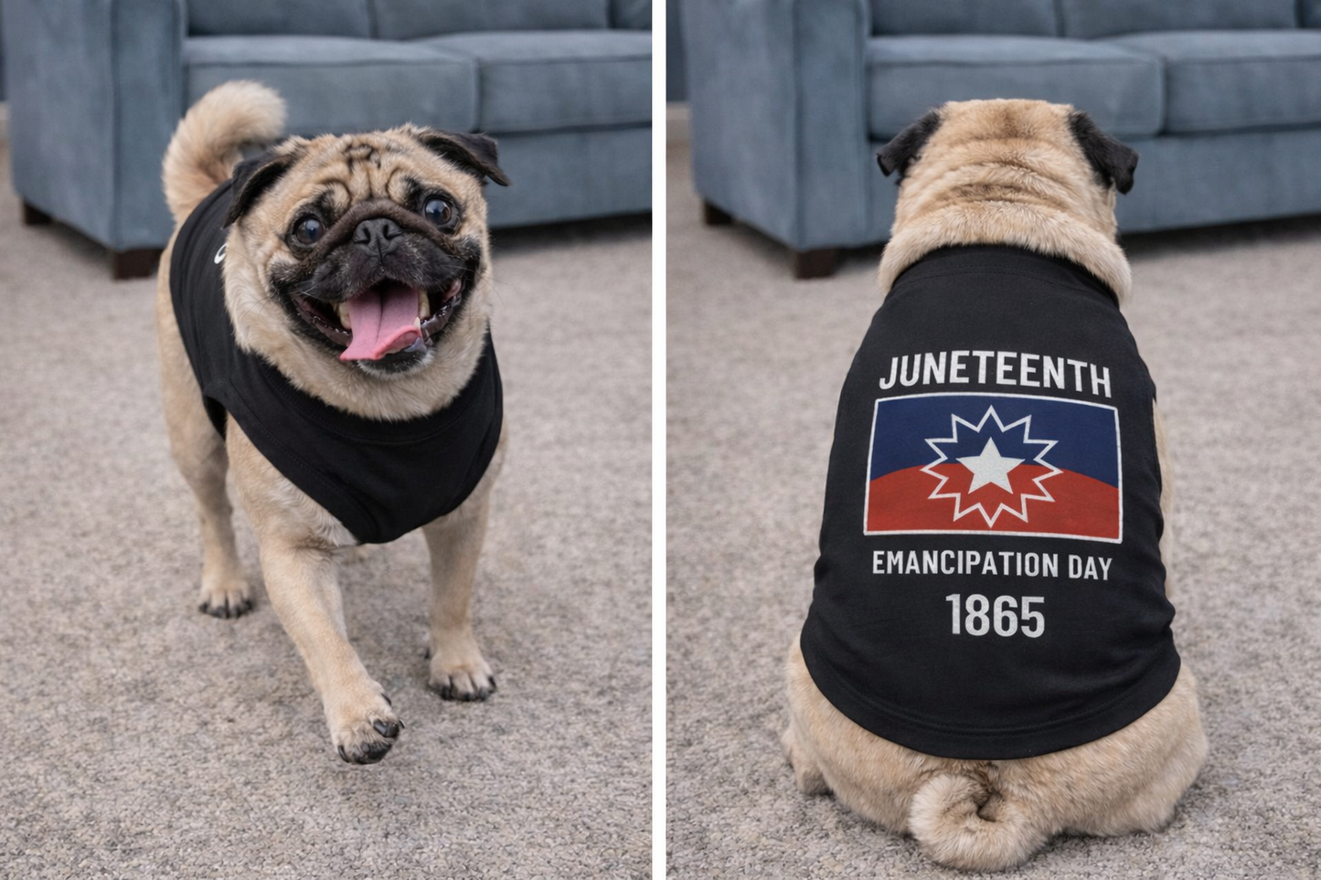 Juneteenth Pet Shirt | Emancipation Day Dog Shirt | Pawsy People
