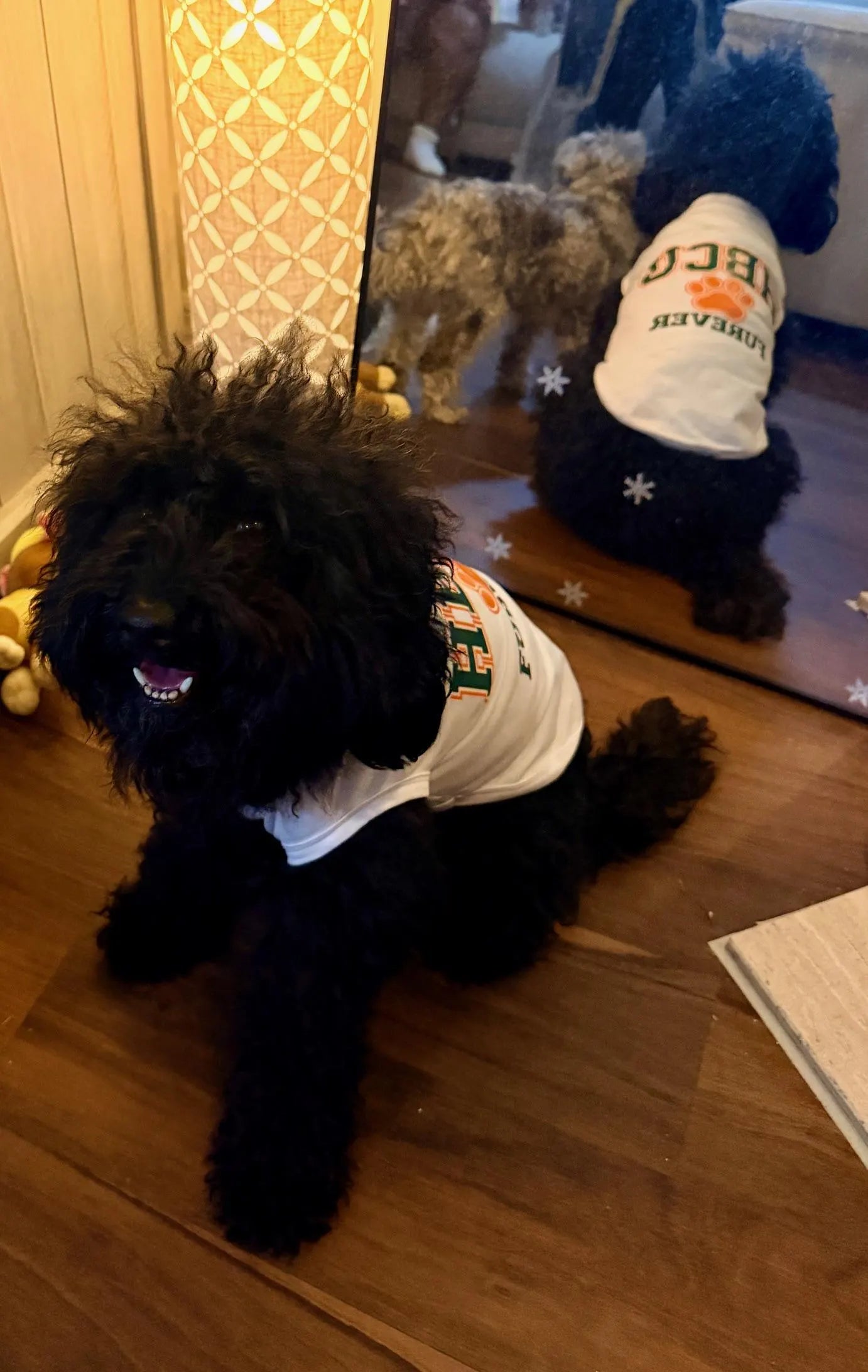 HBCU Furever – Orange & Green Edit | HBCU Dog Shirt | Pawsy People Pet Tank